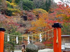 多武峰に紅葉を求めて