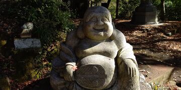 益子はますこでなくましこ♪獨鈷山西明寺(板東20)