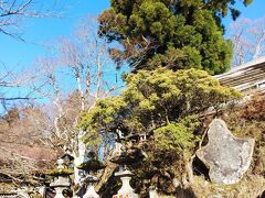 大山ーヤビツ峠ハイキング