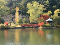 錦繍の紅葉を追いかけて♪　定光寺、定光寺公園＆豊田市美術館のお茶室の紅葉♪