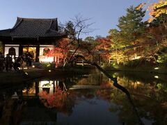 GoTo京都　紅葉づくし　1/2　清水寺～高台寺～八坂神社