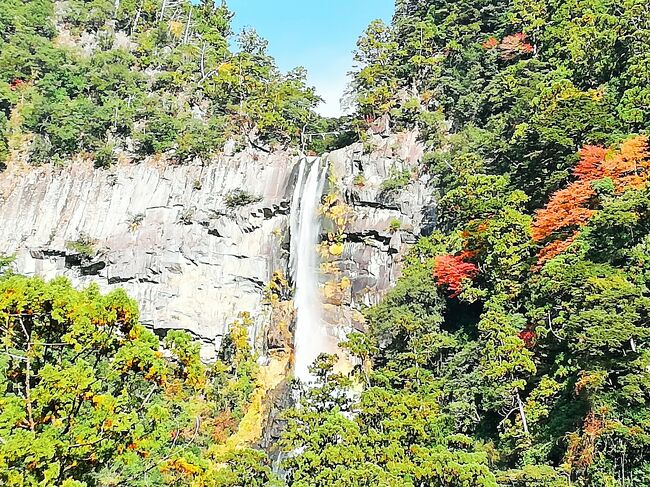 11月19日(木)<br />熊野三山残すは二つ、熊野那智大社と熊野速玉大社へ向かいます。<br />速玉は過去、那智は現在、本宮は未来を表すと言われています。<br />和歌山県の旅、この日が最終日。<br /><br />3日間とも、気温が高く汗ばむくらいの良い天気。<br /><br />1日目 9708歩<br />2日目 16073歩<br />3日目 13246歩<br />階段が多かったので高低差はありますが、歩数はたいしたことありません。<br /><br />バスガイドさんから、紀伊大島があの有名なエルトゥールル号遭難の地、トルコ人に親日家が多いのは、ここ串本町の救難活動からだと説明あり。<br />イラン・イラク戦争の時、現地邦人を助け出してくれたトルコ政府に、遅ればせながら感謝。<br />