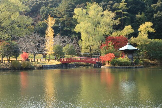 愛知県の紅葉人気スポットに、定光寺、定光寺公園があります。<br /><br />尾張徳川家藩祖である徳川義直公の墓所がある定光寺の境内には風格ある歴史と文化の香りが漂い、紅葉の季節には、多くの観光客を集めている。<br /><br />隣接する定光寺公園には正伝池や芝生広場、定光寺自然休養林内には散策コースがあって、東海自然歩道もあり、手軽なハイキングが楽しめる。<br /><br />日を置いて、豊田市美術館横にある、茶室の紅葉がきれいなのに気が付いて、行ってきました。<br /><br /><br />表紙の写真は、定光寺公園内にある正伝池