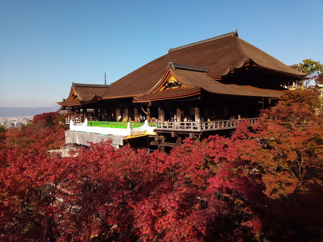 紅葉を満喫する旅の三日目、最終日。なんと言っても外せない清水寺へ。混雑を避けるため、早めの時間に行ってじっくりと見学しました。