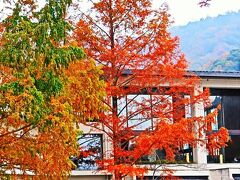 福井県-24　若狭ｃ　ホテル-水月花　うなぎせいろ飯+α-昼食　☆小雨降る水月湖畔-散歩