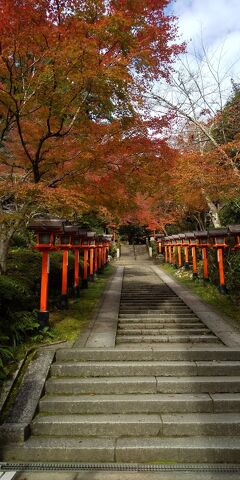 歩き過ぎの京都一人旅 2日目