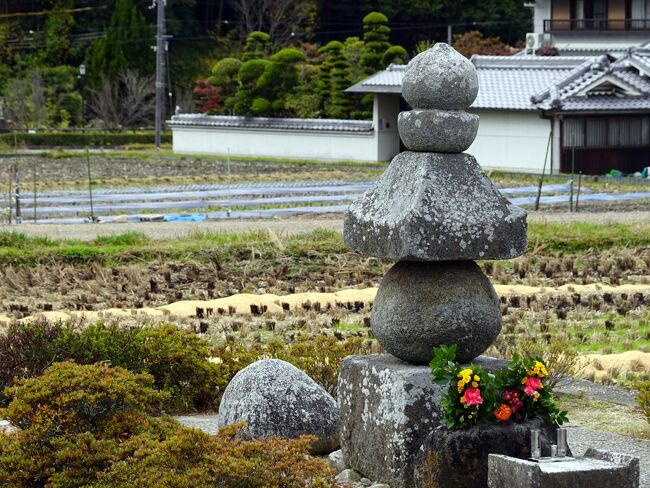 室生寺、談山神社と巡り、飛鳥に入りました。<br />飛鳥はあしかけ二日を掛けますが正味は5時間程。<br />先ずは飛鳥を代表する石舞台古墳、翌日は飛鳥大仏、橘寺等を回ります。<br /> 今夜の宿は奈良ホテル、夕食は菊水楼です。<br /> <br /> 表紙は田圃に佇む通称曽我入鹿の首塚。<br />