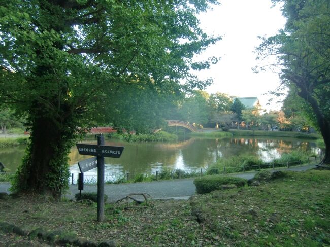 称名寺の奥手にある金沢北条氏御陵への散策路などを散策した。称名寺市民の森として開放されていて、参道が散策路として整備されている。昭和戦後の宅地開発などから、境内および緑地として保護され、おそらく貴重な自然林の姿を観察できるスポットである。散策しただけでは当地周辺の複雑な経緯を把握することはできなく、悠久の歴史をほとんど知らずいることを恥ずかしく思う。
