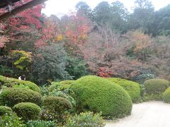 今年の京都の紅葉（その4）比叡山・詩仙堂・金福寺