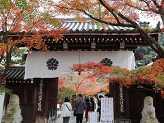 暮秋の京都で紅葉の見どころをめぐる旅。