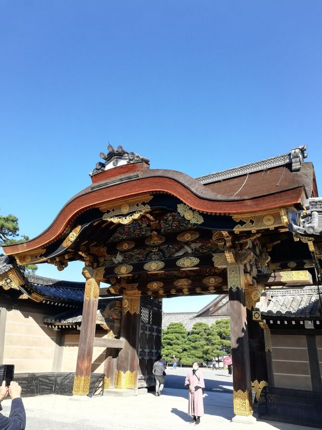秋の京都へ急に行って見てました。紅葉にはまだ早かったですが、それなりに楽しめました。世界遺産二条城、仁和寺、保津川のトロッコ列車、京都の秋の名称巡りです。
