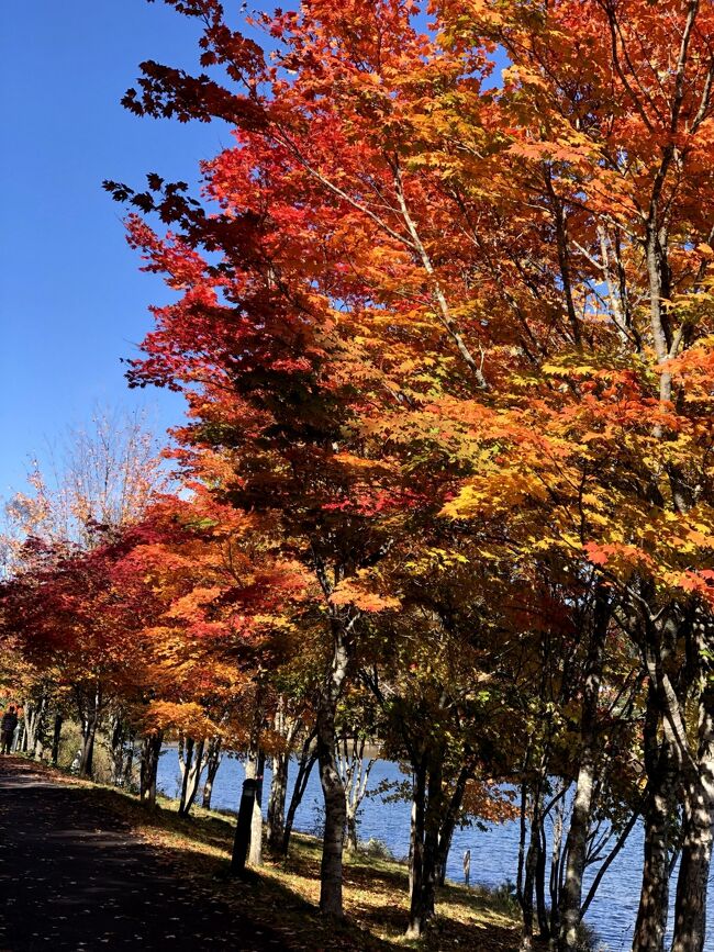 保育園に行き始めた孫となかなか旅行ができなくなってきたのですが<br />娘のお誕生日祝いということで保育園を休ませて軽井沢へ行ってきました。<br />