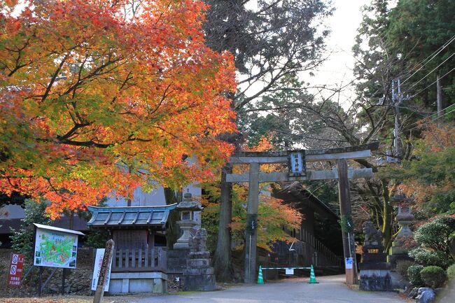 大瀧神社、胡宮神社の紅葉<br /><br />大瀧神社<br />滝の宮とも呼ばれ、水の神、自然の神を祀る神社です。<br />「大蛇ケ淵」と呼ばれる景勝の地に鎮座しています。<br />奇岩怪岩の間を流れる犬上川の流れが印象に残ります。<br /><br />胡宮神社<br />祭神は伊邪那岐命、伊邪那美命です。<br />寿福、延命にご利益があります。<br /><br />表紙は胡宮神社です。<br /><br />　