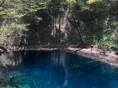 弘前の桜と五能線の旅