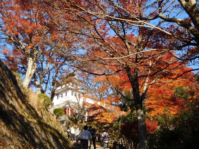 旅行2日目。<br />富山県側の「相倉合掌造り集落」と「菅沼合掌造り集落」を見てから、お昼頃、白川郷のメインである「萩町合掌造り集落」到着し、観光をしました。<br />その後、お昼過ぎに「郡上八幡城」へと向かい、紅葉の綺麗な景色を楽しみながら、お城を見学しました。<br />紅葉の一番いい時期に来れて、本当に良かったと思いました。