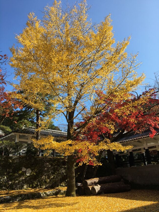 ２０２０年　京都の紅葉～～南禅寺