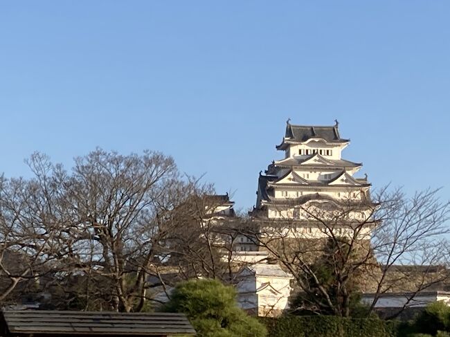 この旅の最終日。なんとか早起きして、姫路城一周へ。<br /><br />10年ほど前に小豆島からフェリーで姫路港に到着。姫路城を見学に来ましたが、天守閣はちょうど工事中でした。<br /><br />姫路城天守　保存修理工事（2009年9月～2015年3月）<br /><br />お陰で修繕のやり方等が見えた貴重な体験でした。西の丸は見学出来ました。<br /><br />次回は綺麗になった外観を見たいなぁと思っていたのでわざわざ姫路に一泊したのですが。前の晩、姫路城ライトアップをスキップしてしまい、少し後悔。今日は旅の最終日だから頑張ろ～～<br /><br />姫路城一周の後は新快速で45分、三宮へ。<br /><br />友人とちょうど1年ぶりに会って、明石と三宮を案内してもらい、関空から帰宅しました。