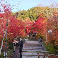 GoTot旅第4弾、汗ばむ陽気の京都で紅葉狩り　おまけで大塚国際美術館。その２大原三千院と永観堂