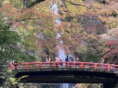 2020.11紅葉探して箕面大滝から勝尾寺、大門寺