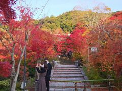 GoTot旅第4弾、汗ばむ陽気の京都で紅葉狩り　おまけで大塚国際美術館。その２大原三千院と永観堂