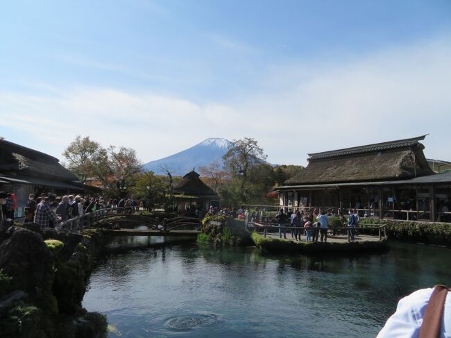 富士見予報で毎日、富士山が見える確率を確認して！行ってきました！<br />（本当は前日の31日土曜のが快晴で富士山日和でしたが悩んでるうちに満席に。）<br />ハイウェイバスドットコムから高速バスをオンライン予約。web割引で片道2,050円。Go Toの影響か満席！私は個人予約なのでGoTo割引なし！<br />行きは忍野八海、帰りはホテルマウント富士の停留所にしまして、紅富士の湯で日帰り温泉です！<br />帰りは渋滞に巻き込まれ2時間程遅れましたが無事に戻れました。<br />冠雪の富士山と紅葉と富士山と温泉まで入って満足です！