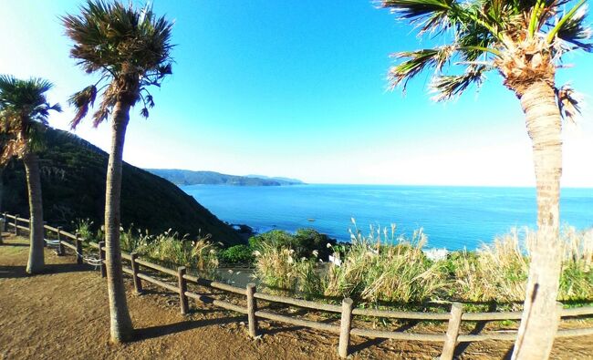 奄美大島 加計呂麻島 １人旅　３／３日目