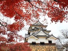 彦根城と玄宮園　紅葉をもとめて