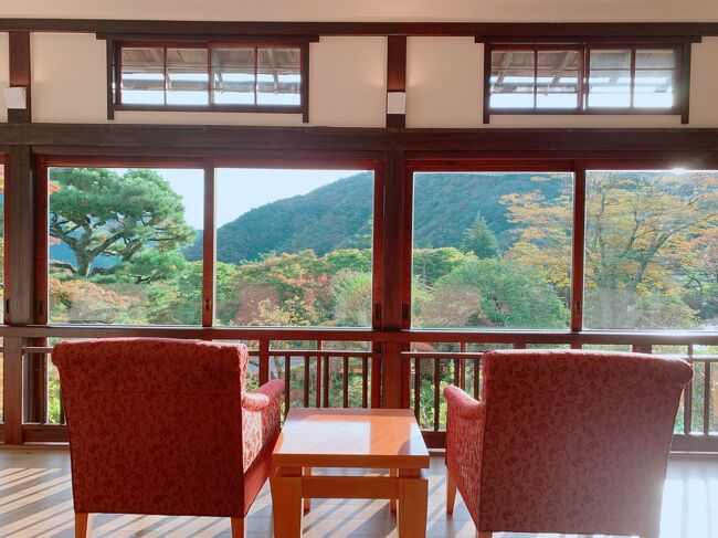 昨日とは一転、スコーンと晴れた<br />はじめての箱根旅行2日目。<br /><br />昨日行けなかった分、今日は行きたい場所もいっぱい。<br /><br />この時期の箱根はとにかく飽和状態で<br />密!<br />密!<br />密!<br /><br />こんなに密!なったのははじめてでした