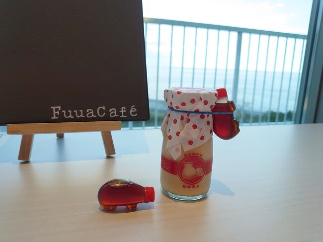 今回も母とえきねっとのGoTo日帰り旅行に行ってきました!!<br />今回は熱海です!!<br /><br />観光ではなく、スパでのんびりお風呂に使ってきますwww<br /><br />今回のプランは<br />GOTO商品/日帰り/熱海温泉 オーシャンスパFuua ゆったり入浴【往復特急列車利用】<br />GoTo利用で二人で10,920円、地域共通クーポン2枚でした(元値を忘れてしまった…(笑))<br /><br />踊り子号の指定席往復と、スパFuuaの入館券がついています<br /><br />のーーーんびり海を眺めながらのお風呂でしたw