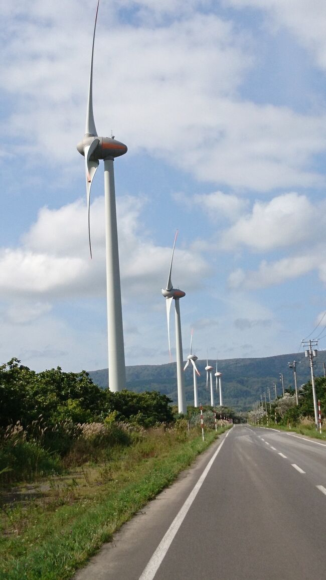 さすがの寿都町。グルメ旅。