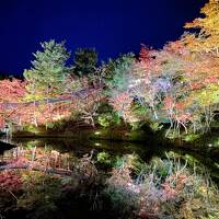  ＊錦秋の京都へ行こう＊～清水寺·圓徳院·高台寺ライトアップ～京小宿 八坂ゆとね宿泊の母娘旅～