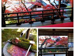 紅葉と花手水の秋景色を楽しみに柳谷観音楊谷寺へ　2020