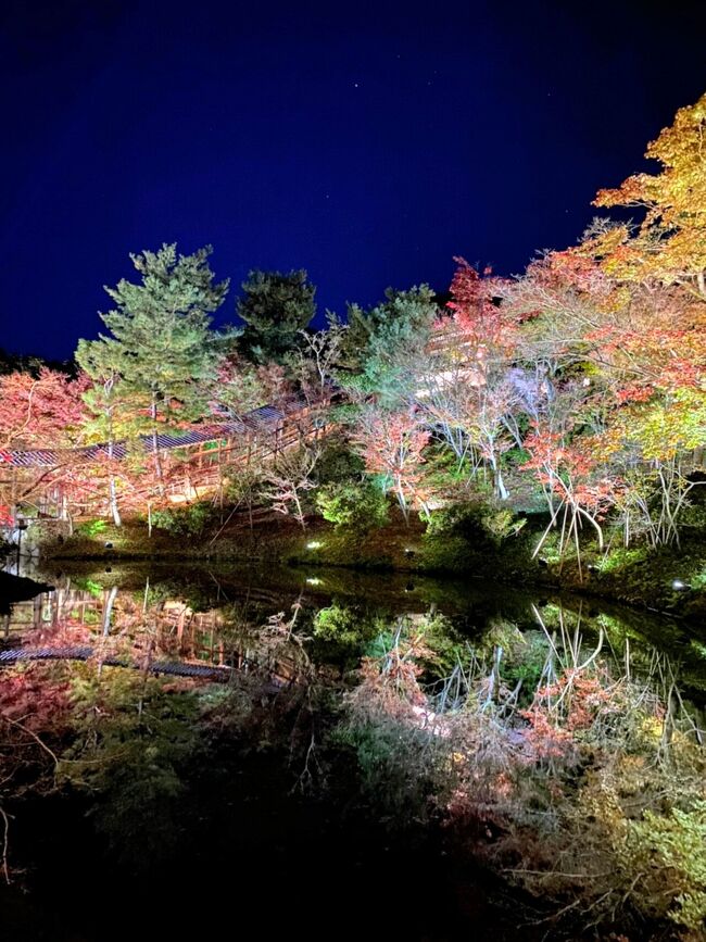 娘とふたり<br />『紅葉を巡る旅』の予定でしたが<br />今年はピークが早かったようで<br />残念ながら<br />『終わりかけの紅葉を巡る旅』となりました。<br />けれど<br />さすが日本が誇る古都京都。<br />数々の美しい寺社を拝観して<br />心洗われ、清々しい時間を過ごせました。<br /><br />そして<br />町家の小さな宿の<br />あたたかなもてなしに癒されて、楽しく充実した二日間となりました。<br />