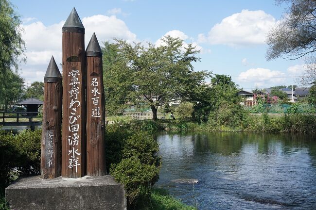 季節の変わり目、富山・長野を旅してきました。<br />コロナが心配ですが、細心の注意を払って、楽しんできました。<br />画像は、安曇野わさび田湧水群にてです。<br /><br />1日目…ちょい旅～2020 千葉・成田市編～→富山旅行記～2020 黒部市編～その1→その2→その3→その4→その5→その6<br />2日目…富山旅行記～2020 黒部市編～その7→富山旅行記～2020 立山町編～その1→その2→その3→その4<br />3日目…富山旅行記～2020 立山町編～その5→その6→その7→その8→長野旅行記～2020 大町市編～その1<br />4日目…長野旅行記～2020 大町市編～その2→ちょい旅～2020 長野・大町市編～→長野旅行記～2020 安曇野市編～その1→安曇野わさび田湧水群公園→穂高わさび園→JR穂高駅→JR松本駅→松本城→松本(泊)<br />5日目…松本空港→神戸空港