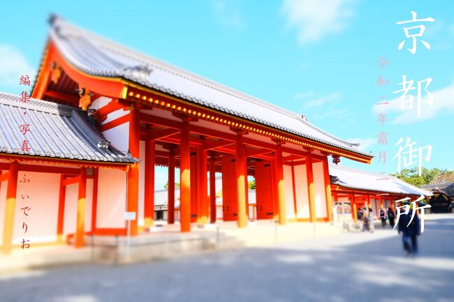海外に向けて日本の国を紹介する時、時折「日本には四季がある」という文言を見つけます。その度に「よっぽど特殊な自然環境でない限りどの国にもあるだろ」と思うわけですが、これほどまで自然を国の特色として挙げるのは、昔から日本人が常に自然と共生してきた文化があるからだと思います。<br />春には桜などの花、夏には涼し気な川や緑、秋は赤や黄色に色づく木々、冬には雪化粧、といった具合です。<br /><br />さて、時期は秋真っ只中の11月。紛れもなく、紅葉の季節です。日本で最もポピュラーな紅葉の見所といえば京都、であることは、言うまでもないでしょう。<br />京都はただでさえ外国人観光客が多く、それが紅葉の季節となるとその混雑具合は突出して極まり、身動きがろくに取れず紅葉を愛でるどころではないのが現状です。そんな様子を毎年テレビで眺めているのでした…。<br /><br />しかし、今年は大多数を占めていた外国人観光客はいません。Gotoキャンペーンもあり、行くなら絶好の機会といえます。私自身、もう京都には何度も訪れたことがありますが、紅葉の季節だけは訪れたことがありません。時は得難く失いやすし。脳内で東進ハイスクールの林先生のあの言葉が響きます。<br /><br />そして我々家族は、11月の3連休を利用して、古都・京都へと行くことを決めたのでした…<br /><br />今回の京都旅行はものすごく写真を撮りましたので、いつにも増して分割しながら旅行記を作成していきます。すべて完結する頃にはひょっとしたらもう桜が咲き始めているかもしれませんが、もしそれまでお付き合いいただけたら幸いでございますm(__)m<br />