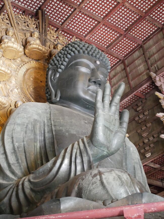 先日、京都の三十三間堂に行ったらもっと仏像が見たくなり、国宝が1番多い奈良に行くことにしました。<br />タイミング良くEテレの仏像を巡る番組(解説していた駒澤大学の村松教授にほの字になり、講座を探したけど今はコロナで休講中、残念。)を見たり、同じくラブのみうらじゅんさんの仏像コラムが載っているPen+を見かけて入手したので、事前に見たい仏像をピックアップして臨みました。<br />1日目 東大寺、興福寺、奈良国立博物館(仏像館のみ)→今回はこちらです。<br />2日目 明日香村<br />3日目 新薬師寺<br />