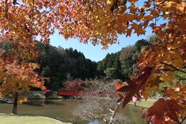 秋の伊豆旅♪　Vol.24　☆修善寺虹の郷：秋の美しいカナダ村♪