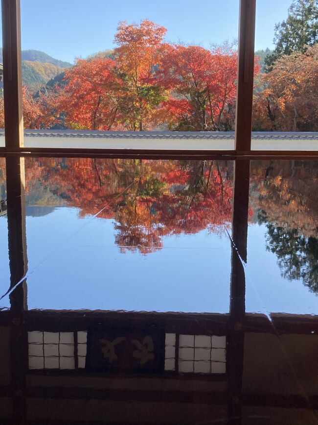 　竹内まりやさんの歌「人生の扉」の歌詞に、「満開の桜や　色づく山のもみじを　この先一体何度　見ることになるだろ～」という一説があります。本当に毎日、毎年その時々の景色を大切にみていきたいと思うこの頃なのです。<br />　さて、結婚記念日を温泉で、と旅行を計画。かねてから温めていた桐生市・法徳寺の床紅葉と藤岡市・桜山を目的地に決めました。1日目は所用があり、午後からの出発。宿泊地は法徳寺に遠くない藪塚温泉に決めました。2日目、法徳寺の見学は朝１０時からなので、高津戸峡に立ち寄ってから行くプランです。法徳寺の込み具合にもよりますが、桜山のあと、西善寺の「コミネカエデ」も見たいと欲張ってみました。巨木、古木との出会いは私たち二人共通の楽しみでもあるのです。