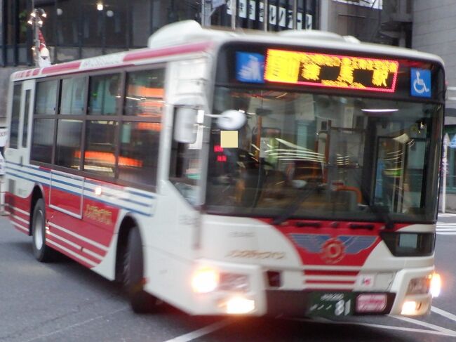 １日１往復となってしまった関東バスの高１０系統のバスに乗りました。<br />尚、ブレている写真が多いのですが、御勘弁下さい(´;ω;｀)