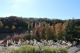 秋の伊豆旅♪　Vol.30　☆修善寺虹の郷：秋の美しい風景♪