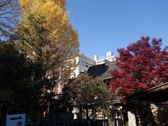 20201202-2 京都 菅原院天満宮神社の銀杏の木。と、ちょっとだけ京都御苑。