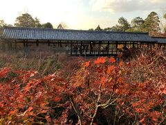 2020 京都紅葉狩りと姫路・明石のお城巡り2泊3日 -京都1日目