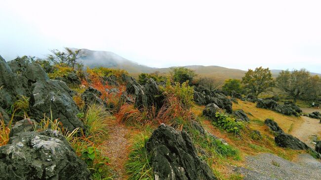 2020/10/31~11/2 GoToトラベルを利用して、2泊3日で山口に友人3人で行ってきました。<br />Part3は、秋芳洞&秋吉台観光後、下関まで足を伸ばしてランチ。<br />関門トンネルを徒歩で抜けたら…あら?そこは福岡県北九州市じゃあ~りませんか!?(笑)<br />ついでに、門司港レトロで一遊び♪(^o^) 19:15発の飛行機で帰って来るまでの旅行記です。