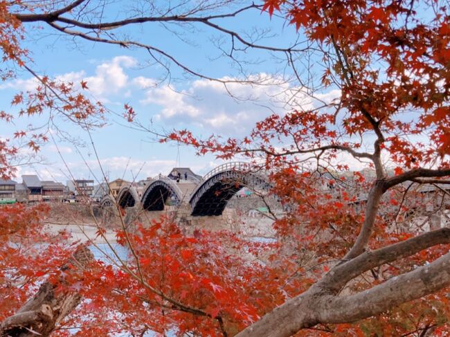 またまた緊急事態宣言が出されて自粛モードになったので、お蔵入りしかけていた昨年の鉄道旅を備忘録としてアップします。<br /><br />『どこでもドアで、どこいこう。キャンペーン』にのっかって行った1泊2日の旅。「どこでもドアきっぷ」という、それはそれはお得な切符が発売されていたのでした。PART1は錦帯橋編です。<br /><br />『どこでもドアで、どこいこう。キャンペーン』<br />https://www.jr-odekake.net/navi/dokodemodoade-dokoikou_cp/