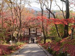 京都紅葉探しの会(と言っても一人だけど)