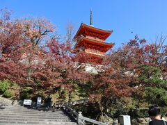 GOTOトラベル京都の旅・・紅葉が美しい「清水の舞台」と「音羽の滝」を散策します。