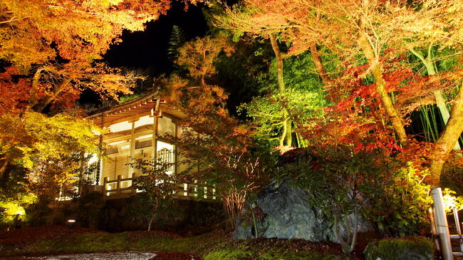 例年はインバウンドで行く事がないだろうと思っていた京都に，<br />ひとりだし、会話もほぼ無いだろうし、紅葉は今年しかないな？と思い、<br />1泊2日以上はこの時期休めないので、<br />実は2週続けての京都の紅葉を中心に行ってきましたっ！<br /><br />コンセプトは、紅葉撮影！<br />ご覧になって飽きちゃう方はごめんなさいっ・・・<br />僕は飽きませんでした！<br /><br />時期は、ほぼ紅葉が終わって来てる感じで、場所によってはまだ<br />見る事が出来るかな？<br />そんなところを探しました！<br /><br />本日のメインは、宝厳院ライトアップ！<br /><br />大体のプランはあるけど、結構行き当たりばったり・・・<br />歩きまくります！<br /><br />京都でも移動エリアが変わる為、2日目以降は、新たな旅行記にします。<br />なので、4回に渡ってお送りしまーす！これ3日目・・・<br /><br />本日は、京都駅～奈良公園周り～宝厳院ライトアップ～ホテル。