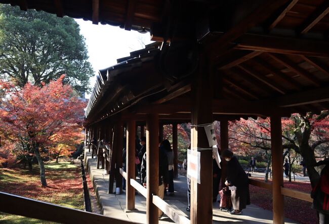 東福寺は、大規模な伽藍と25もの塔頭寺院を持つ、京都を代表する大寺院のひとつです。秋には約2,000本の紅葉が境内を彩ります。特に渓谷・洗玉澗にかかる「通天橋」からの紅葉は人気抜群です。また方丈庭園の「八相の庭」も見逃せませないスポットになっています。
