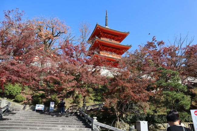 GOTOトラベル京都の旅・・紅葉が美しい「清水の舞台」と「音羽の滝」を散策します。