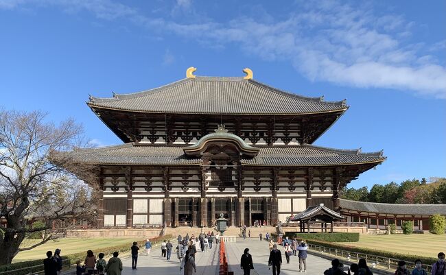 京都・奈良には何度か訪れていますが、最近は観光客が増えすぎて・・・というニュースを耳にしてから足が遠のいていました。<br />今年は外国人観光客もほとんどいないだろうと思い立ち、紅葉の時期に訪れました。<br />世界遺産検定取得のために勉強した事で、訪れたい気持ちが強くなり奈良へは13年ぶりの訪問です。